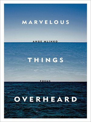 cover image of Marvelous Things Overheard
